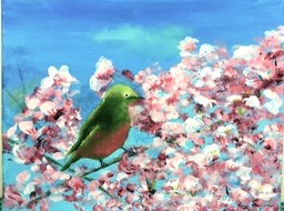 bird-spring_128_hr